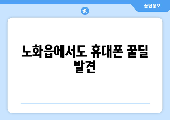 노화읍에서도 휴대폰 꿀딜 발견