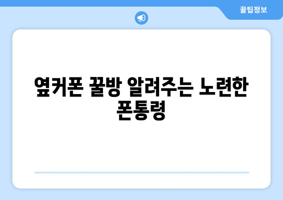 옆커폰 꿀방 알려주는 노련한 폰통령