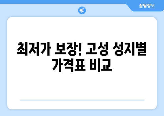 최저가 보장! 고성 성지별 가격표 비교