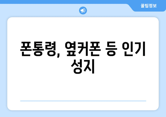 폰통령, 옆커폰 등 인기 성지