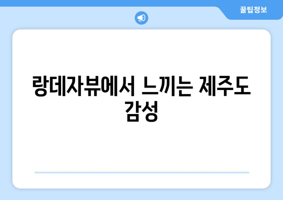 제주도 감성 카페 여행| 강남역 랑데자뷰에서 힐링을 | 제주도, 감성 카페, 랑데자뷰, 데이트 코스