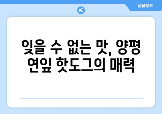 양평 연잎 핫도그 맛집| 맛과 분위기, 그리고 특별함까지! | 양평 핫도그, 연잎 핫도그, 맛집 추천, 데이트 코스