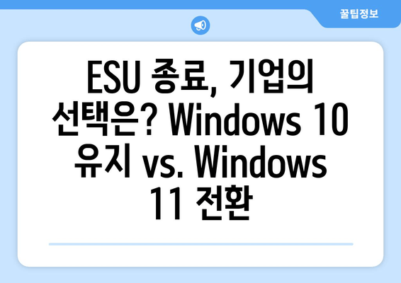 Windows 10 ESU 종료와 가격 변동| 2025년 기업의 대응 전략 | 보안, 비용, 마이그레이션