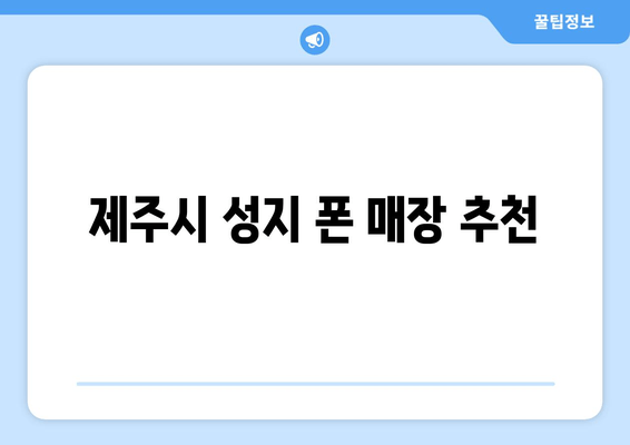 제주시 성지 폰 매장 추천