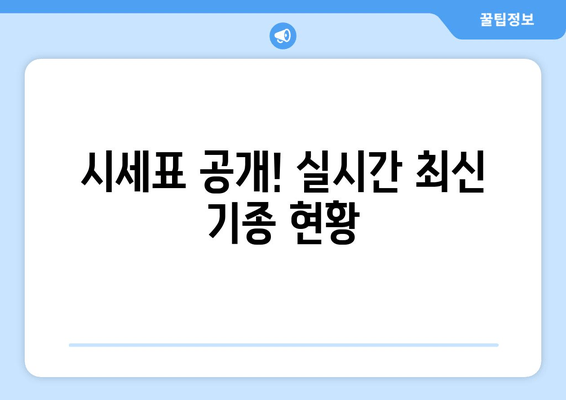 시세표 공개! 실시간 최신 기종 현황