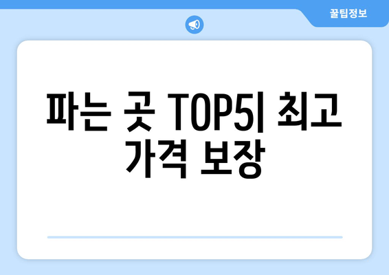 파는 곳 TOP5| 최고 가격 보장