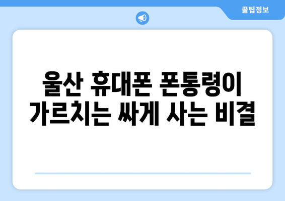 울산 휴대폰 폰통령이 가르치는 싸게 사는 비결