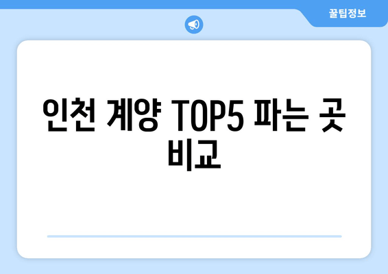 인천 계양 TOP5 파는 곳 비교