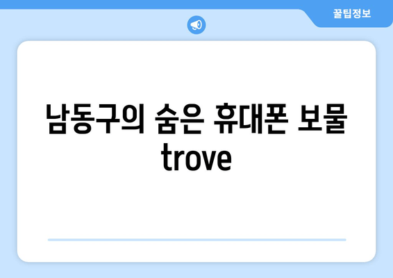 남동구의 숨은 휴대폰 보물 trove