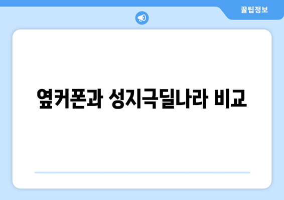 옆커폰과 성지극딜나라 비교