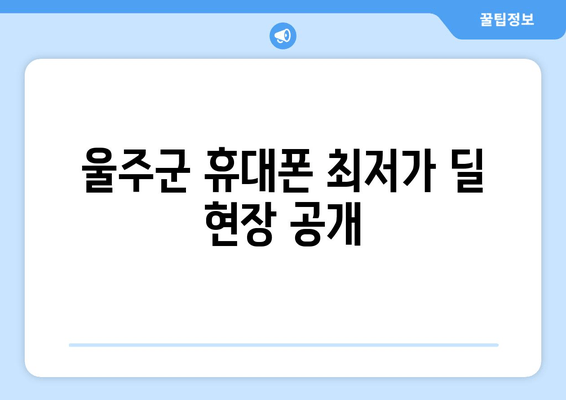 울주군 휴대폰 최저가 딜 현장 공개