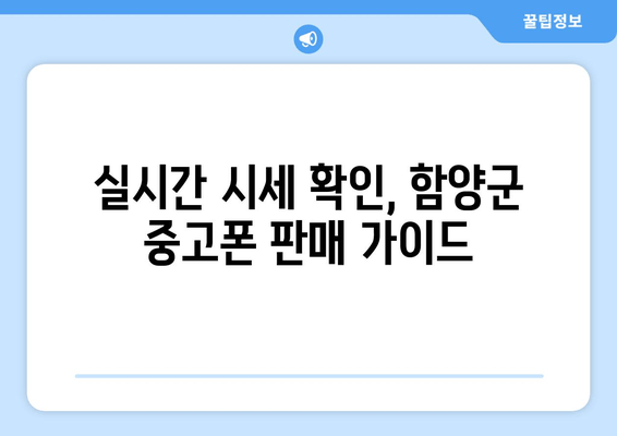 실시간 시세 확인, 함양군 중고폰 판매 가이드