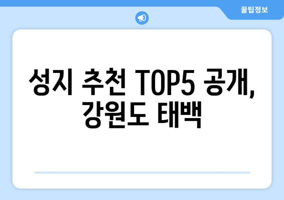 성지 추천 TOP5 공개, 강원도 태백