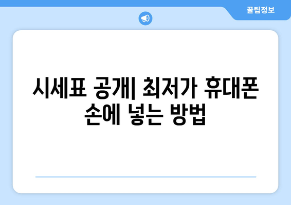 시세표 공개| 최저가 휴대폰 손에 넣는 방법