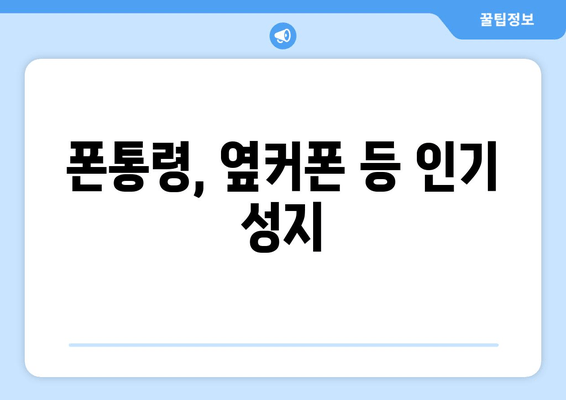 폰통령, 옆커폰 등 인기 성지