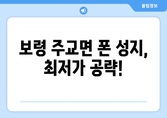 보령 주교면 폰 성지, 최저가 공략!