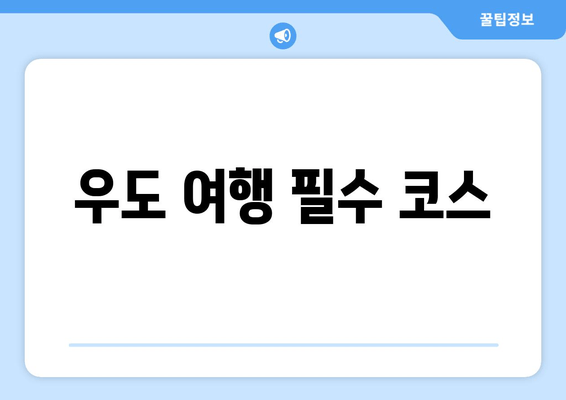 우도 여행 필수 코스| 인어공주 돌문어덮밥 맛집 & 숨은 명소 추천 | 제주도, 우도, 맛집, 여행, 가볼만한곳