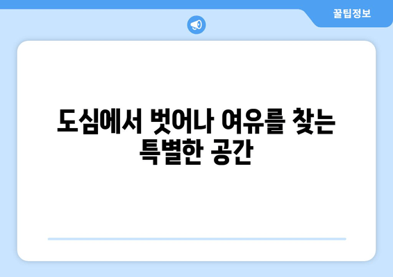 양평 은둔 카페, 수수 속 평화를 찾는 5곳 | 조용한 휴식, 힐링 공간 추천