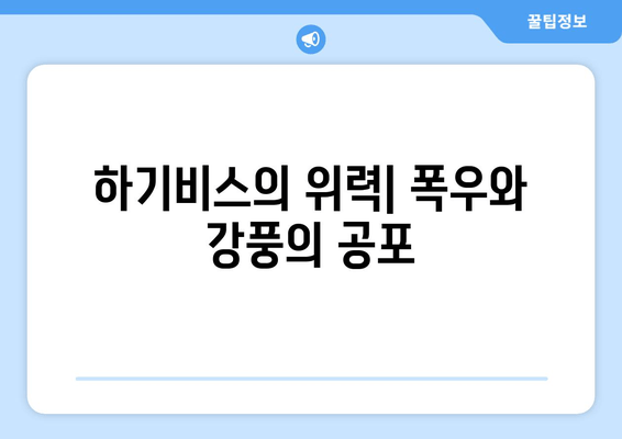하기비스 태풍, 일본에 극심한 피해 남겨 | 하기비스 피해 현황, 복구 노력, 기후변화