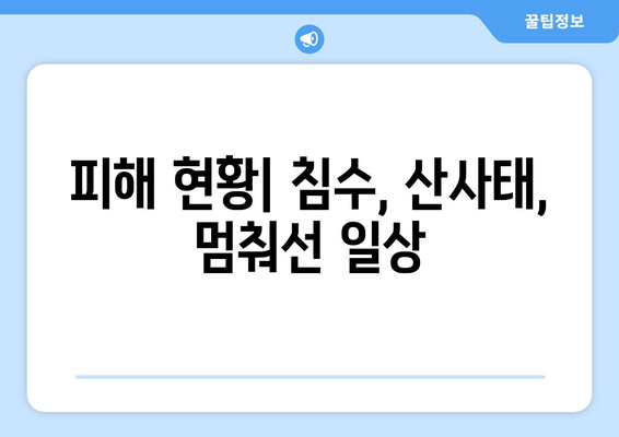 하기비스 태풍, 일본에 극심한 피해 남겨 | 하기비스 피해 현황, 복구 노력, 기후변화