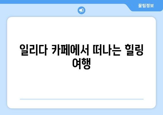 서울 근교 편안한 휴식, 경기도 광주 일리다 카페에서 여유로운 시간 | 힐링 카페 추천, 드라이브 코스