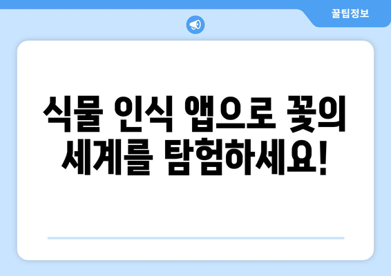 사진으로 꽃 이름 찾기| 궁금한 꽃, 앱으로 쉽게 확인하세요! | 꽃 이름 찾는 앱, 식물 인식 앱, 사진 검색