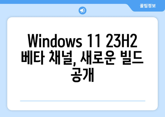 Windows 11 23H2 베타 채널, 빌드 22635.3420 배포 시작 | 본격적인 접속 시동