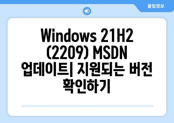 Windows 21H2 (2209) MSDN 업데이트 통합| LTSC & 19045 버전 지원 | 상세 가이드 & 적용 방법