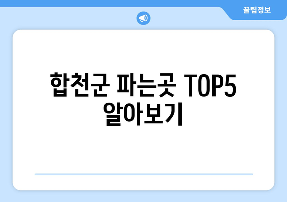 합천군 파는곳 TOP5 알아보기