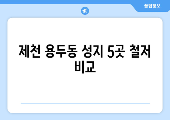 제천 용두동 성지 5곳 철저 비교