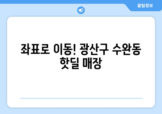 좌표로 이동! 광산구 수완동 핫딜 매장