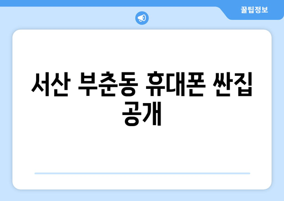 서산 부춘동 휴대폰 싼집 공개