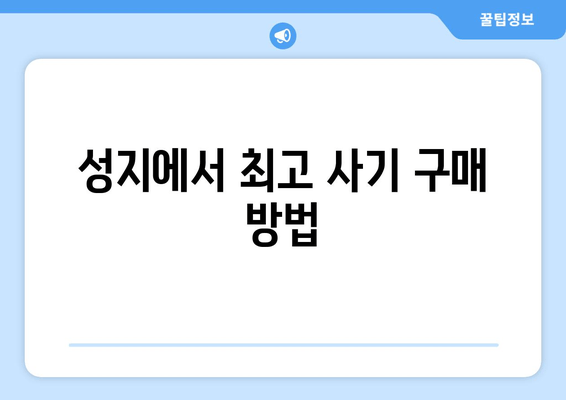 성지에서 최고 사기 구매 방법