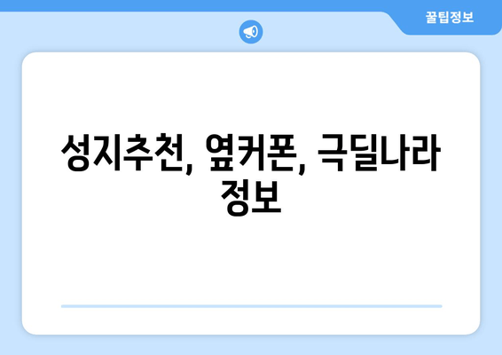 성지추천, 옆커폰, 극딜나라 정보