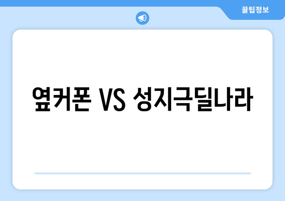 옆커폰 VS 성지극딜나라