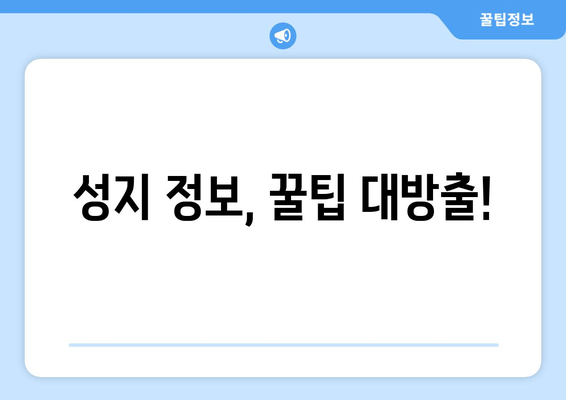 성지 정보, 꿀팁 대방출!