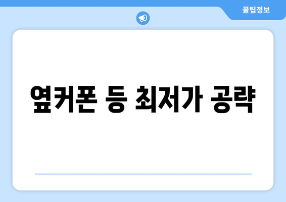 옆커폰 등 최저가 공략