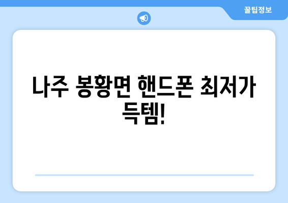 나주 봉황면 핸드폰 최저가 득템!