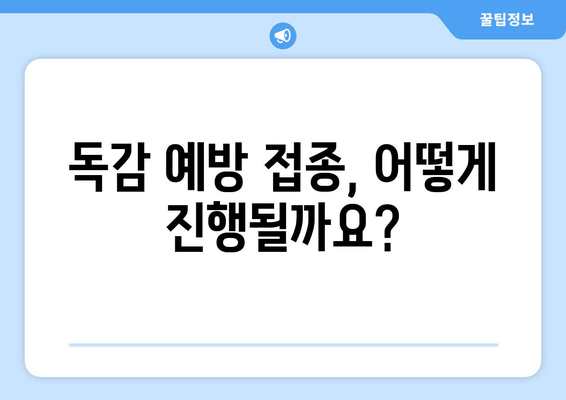 독감 예방 접종, 궁금한 모든 것| 가격, 절차, 중요성 | 건강 정보, 예방 접종 가이드