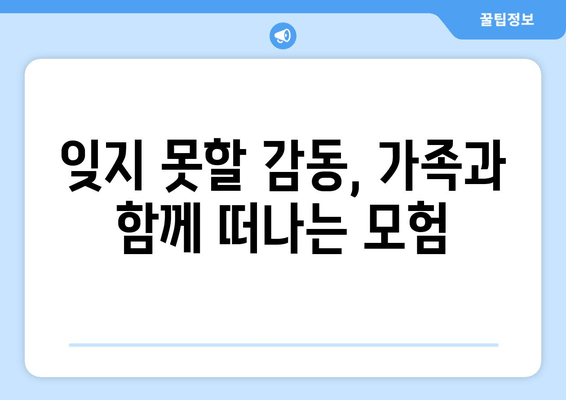 라이온 킹 리뷰| 가족과 함께 떠나는 감동적인 모험 | 디즈니 애니메이션, 명작, 추천