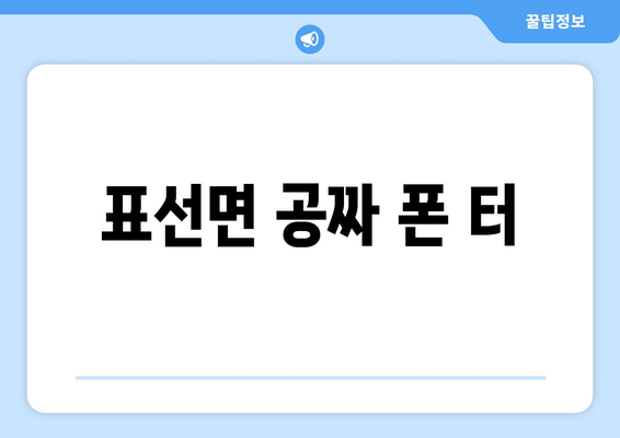 표선면 공짜 폰 터