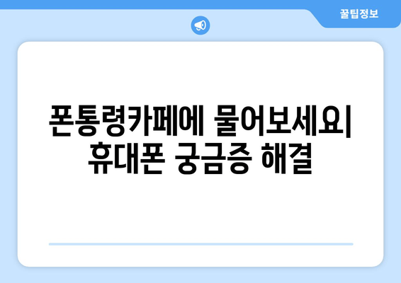 폰통령카페에 물어보세요| 휴대폰 궁금증 해결