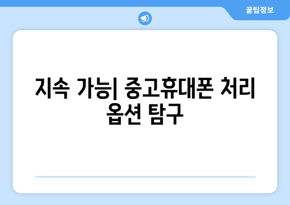 지속 가능| 중고휴대폰 처리 옵션 탐구