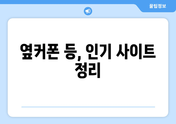 옆커폰 등, 인기 사이트 정리