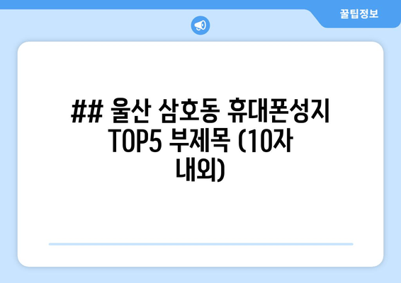 ## 울산 삼호동 휴대폰성지 TOP5 부제목 (10자 내외)