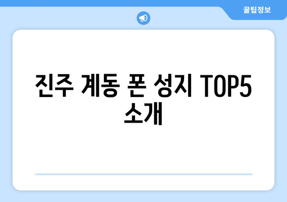 진주 계동 폰 성지 TOP5 소개