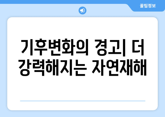 하기비스 태풍, 일본에 극심한 피해 남겨 | 하기비스 피해 현황, 복구 노력, 기후변화