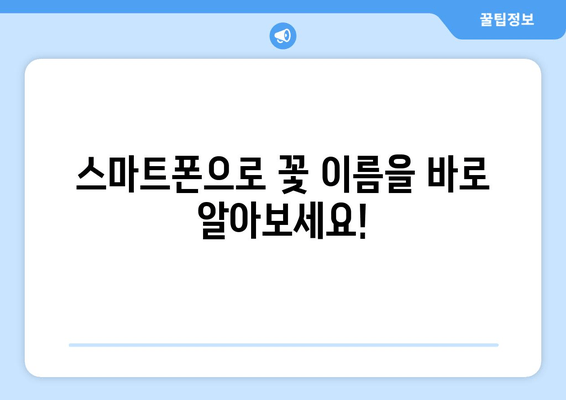 사진으로 꽃 이름 찾기| 궁금한 꽃, 앱으로 쉽게 확인하세요! | 꽃 이름 찾는 앱, 식물 인식 앱, 사진 검색