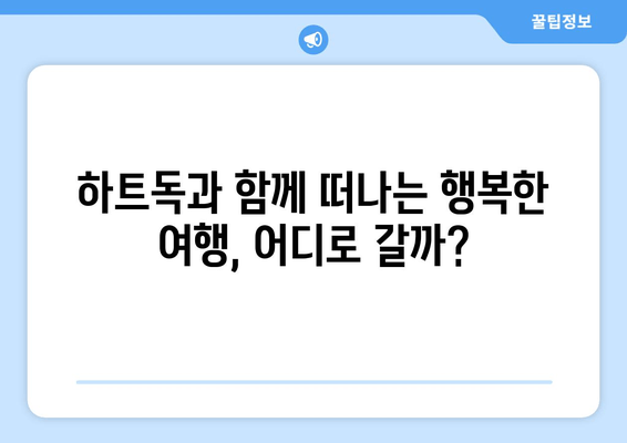 🐶 하트독과 함께 떠나는 행복한 여행! 애견 동반 카페 & 펜션 추천 | 하트독, 애견 동반 여행, 추천 장소, 숙소, 카페