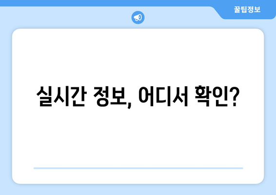 태풍 미탁, 예상 경로와 피해 가능성 | 실시간 정보 및 대비책